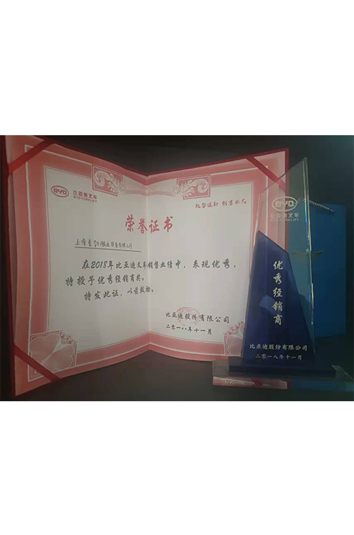 徐州市比亚迪2018优秀经销商